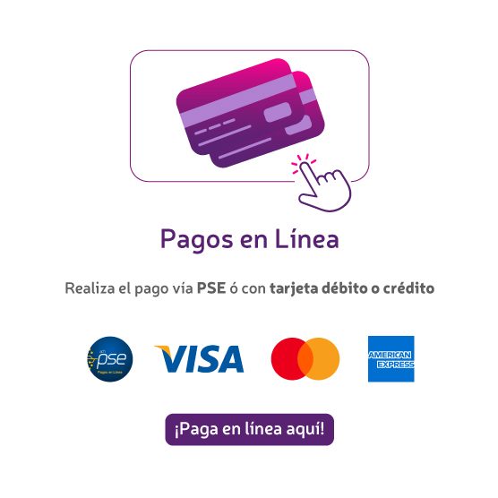 Pagos en línea Responsive Image