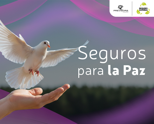 Seguro para la Paz